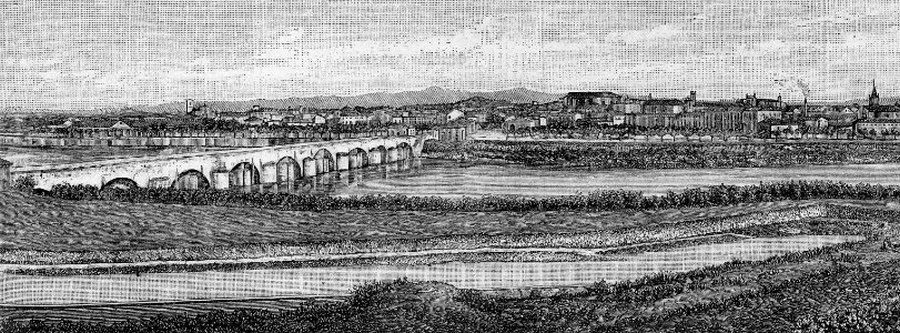 Alessandria – Panorama (xilografia)