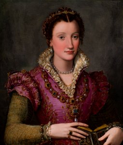 Alessandro Allori - Portrait of a Lady, probably Camilla Martelli de’Medici - 9-2017 - Saint Louis Art Museum