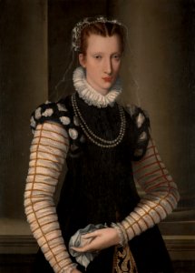 Alessandro Allori - Portrait of a Lady in Black and White - P21n19 - Isabella Stewart Gardner Museum. Free illustration for personal and commercial use.