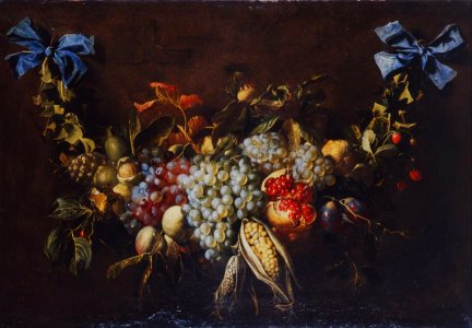 Alexander Coosemans - Fruit garland. Free illustration for personal and commercial use.