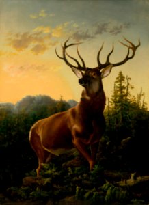 Alexander Brodszky - Deer in Forest Landscape - O 561 - Slovak National Gallery