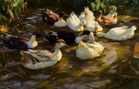 Alexander Koester Enten im Teich