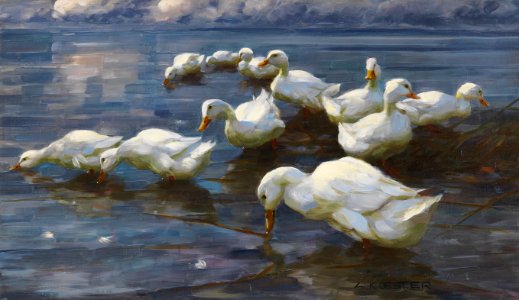 Alexander Koester Enten am Seeufer