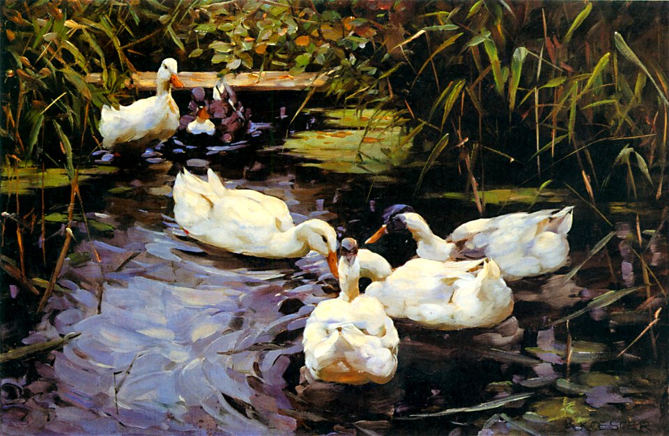 Alexander Koester-Enten