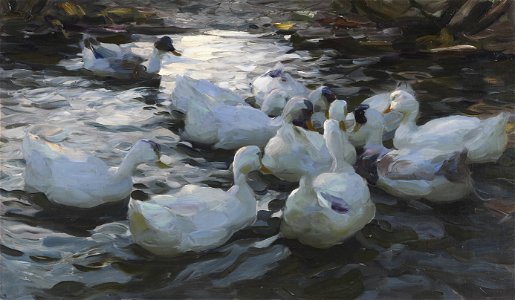 Alexander Koester Elf Enten im Wasser