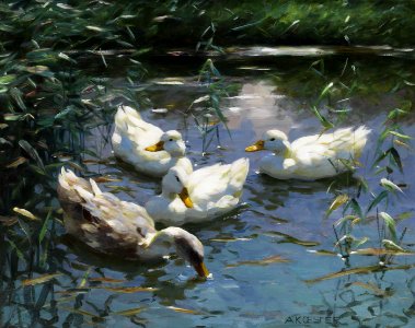 Alexander Koester Vier Enten im Teich