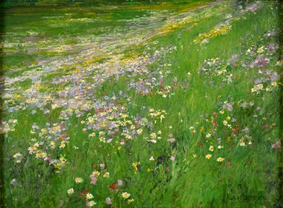 Alexander Koester Blumenwiese