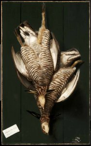 Alexander Pope - Still Life with Two Game Birds - 1970.497 - Museum of Fine Arts