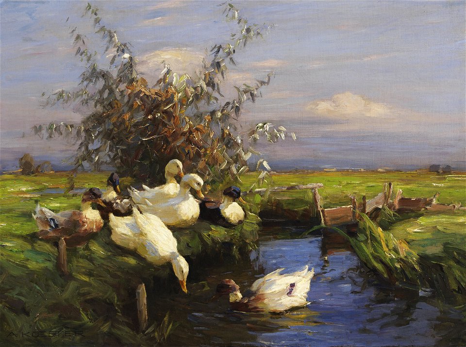Alexander Koester Sieben Enten am Graben