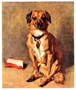 Alexander Pock Mein Liebling 1911 dgE