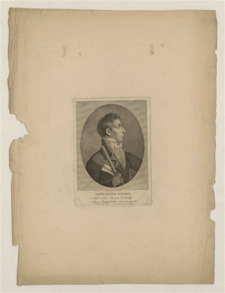 Alexander Wilson, author of the American Ornithology, native of Paisley, Scotland died 1813 aged 45 - drawn & engraved by J.J. Barralet. LCCN2014649364