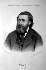 Alexander Skofitz Litho
