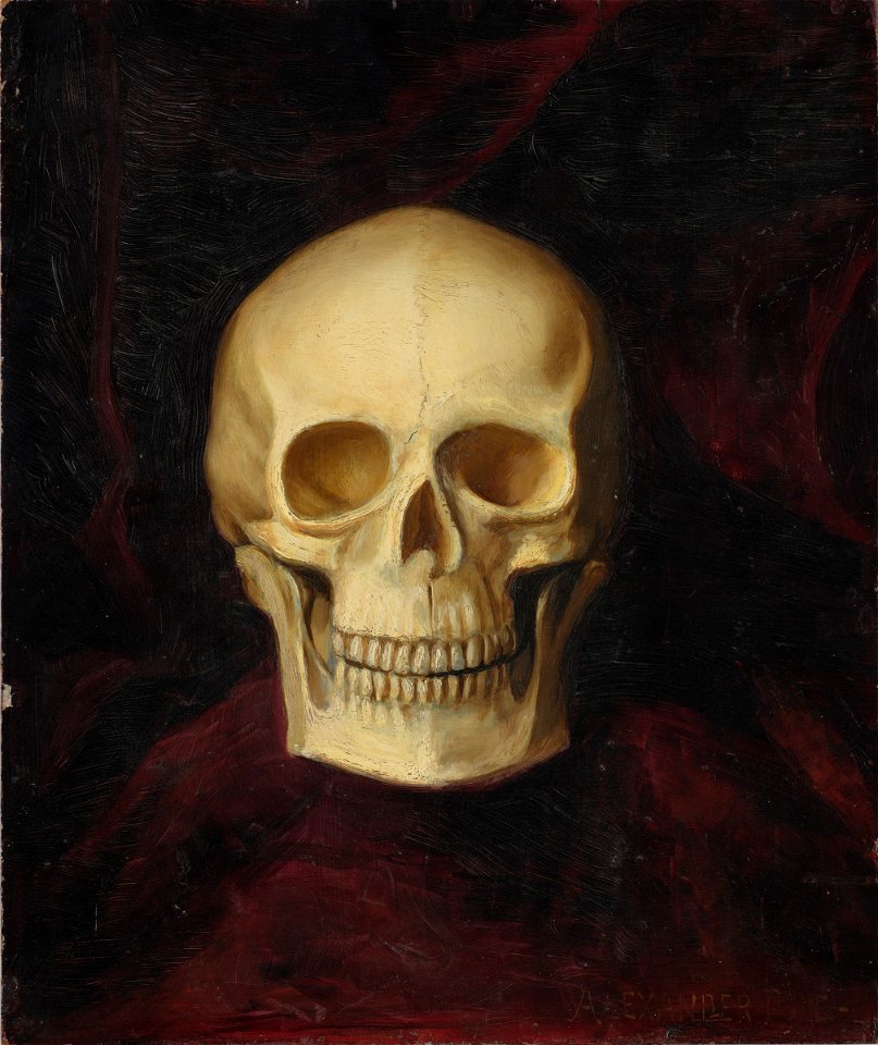Alexander Pope - Skull, verso, head of a hunting dog holding a bird in its mouth - 2018.40 - Fogg Museum