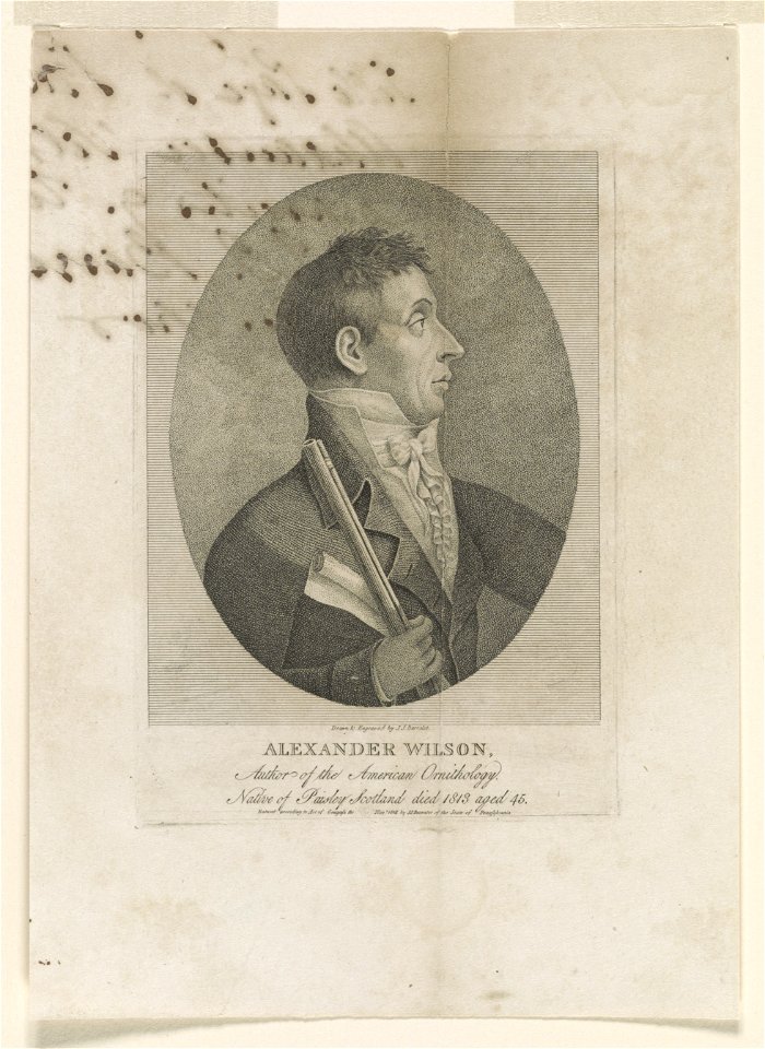Alexander Wilson, author of the American Ornithology, native of Paisley, Scotland died 1813 aged 45 - drawn & engraved by J.J. Barralet. LCCN2014649363