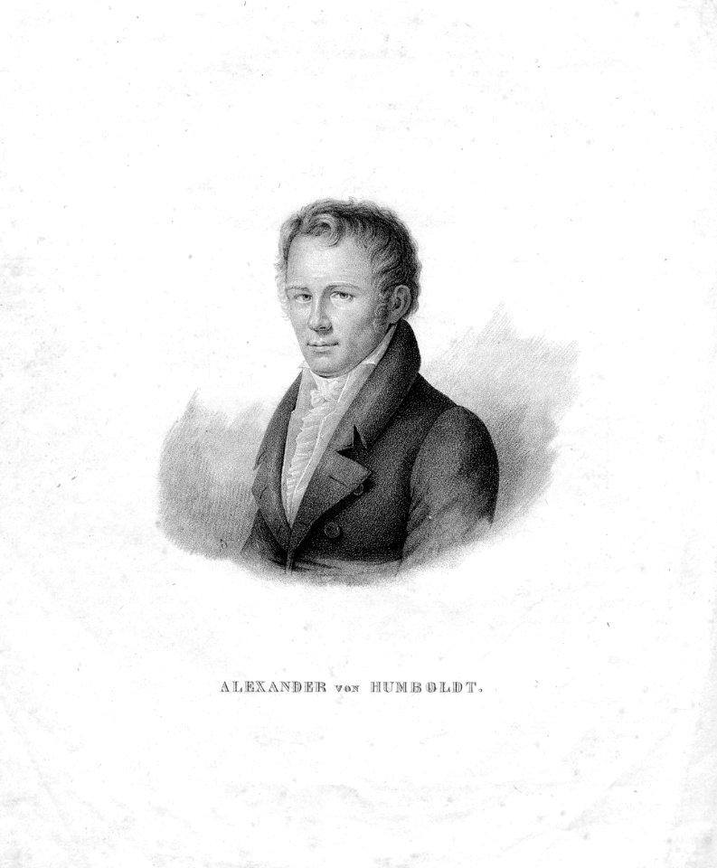 Alexander von Humboldt (d'après Steuben)