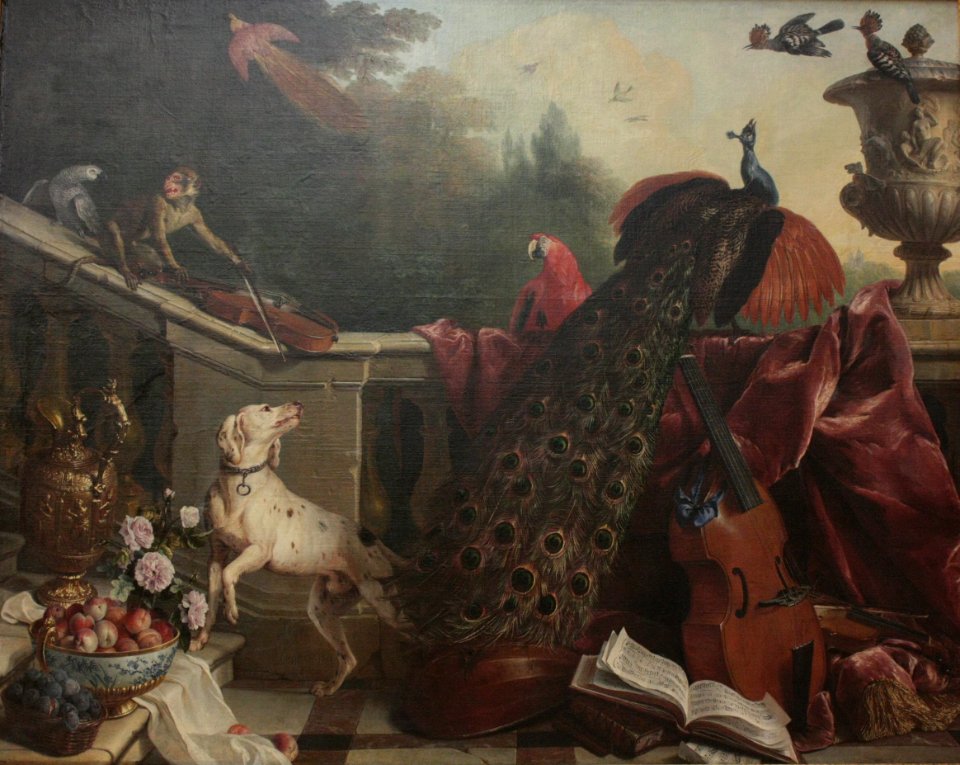 Alexandre-François Desportes - Animaux, fleurs et fruits