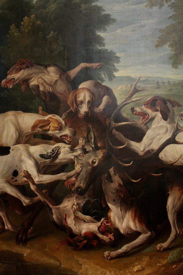 Alexandre-François Desportes - Cerf aux abois 02