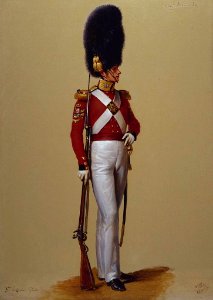 Alexandre-Jean Dubois Drahonet (1791-1834) - Colour-Sergeant Alexander McDonald, Scots Fusilier Guards - RCIN 406934 - Royal Collection