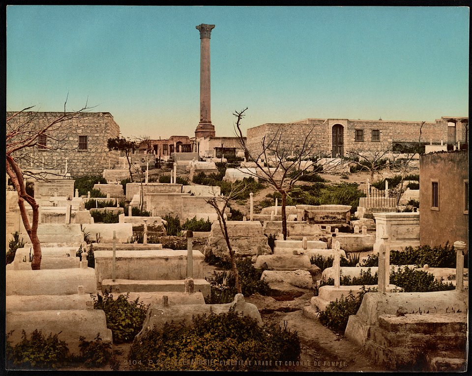 Alexandrie, cimetière Arabe et Colonne de Pompée LCCN2017657131
