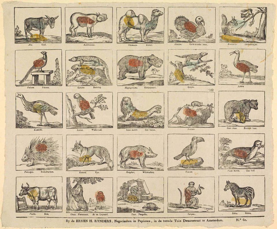Alfabet met dieren