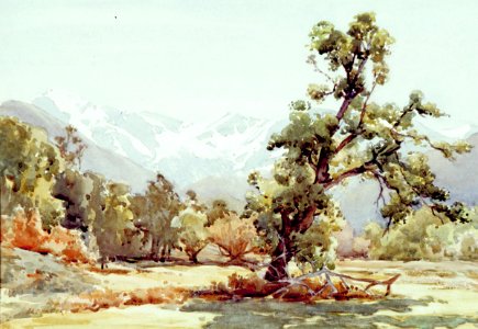 Alfred Baxter - Winter Sunshine, Kaikoura - Sarjeant Gallery