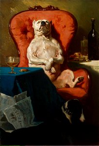 Alfred Dedreux - Pug Dog in an Armchair
