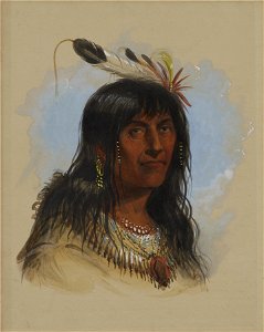 Alfred Jacob Miller - Big Bowl ( A Crow Chief) - Walters 37194015 (3)