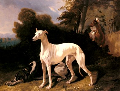 Alfred Dedreux - A Greyhound In An Extensive Landscape. Free illustration for personal and commercial use.