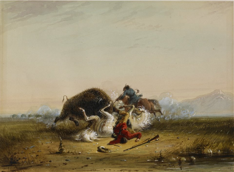 Alfred Jacob Miller - Pierre and the Buffalo - Walters 37194058