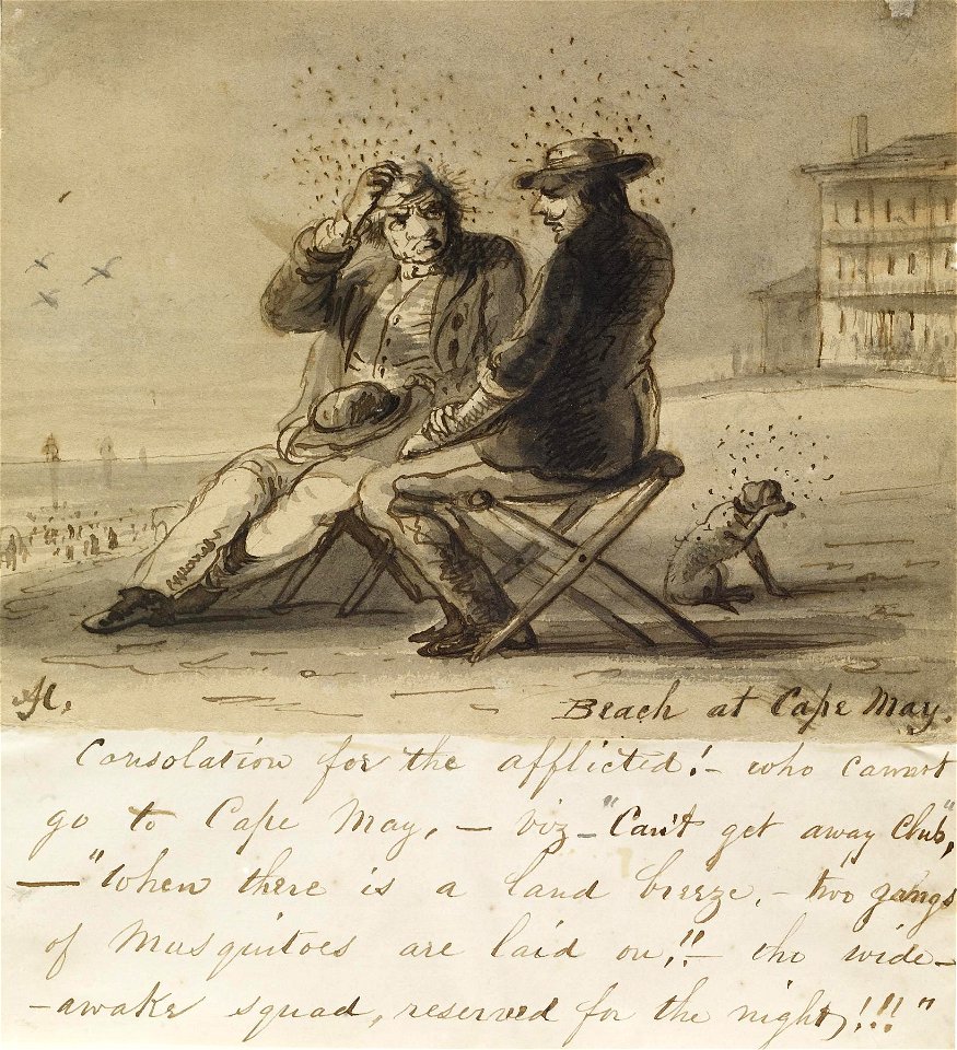 Alfred Jacob Miller - Beach at Cape May - Walters 372675