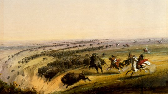 Alfred Jacob Miller - Hunting Buffalo - Walters 371940190. Free illustration for personal and commercial use.
