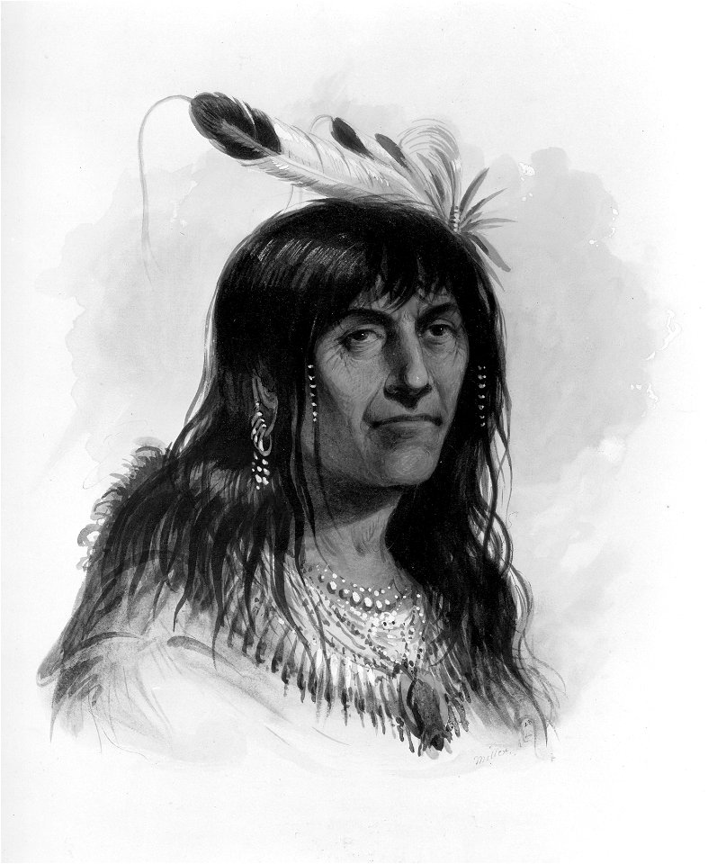 Alfred Jacob Miller - Big Bowl ( A Crow Chief) - Walters 37194015 (2)
