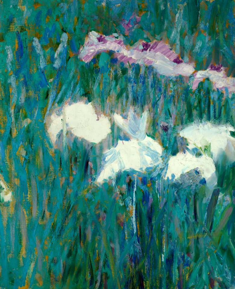 Alfred Quinton Collins - Japanese Irises - P33e11 - Isabella Stewart Gardner Museum