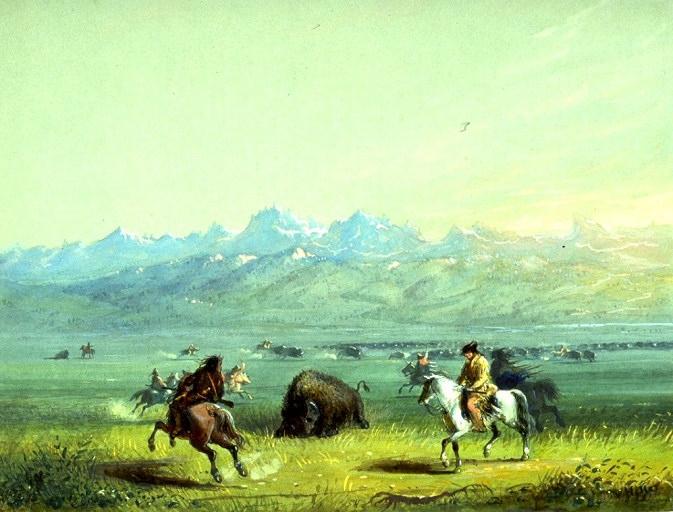 Alfred Jacob Miller - Wounded Buffalo - Walters 37194056