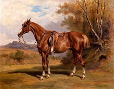 Alfred Sheldon Williams (1841-1880) - 'Bald Face' (W. R. Hole's Hunter) - 1296540 - National Trust
