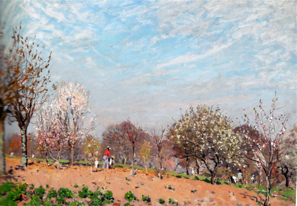 Alfred Sisley - Pommiers en fleurs à Louveciennes