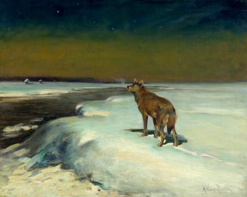 Alfred Wierusz-Kowalski - W lutym