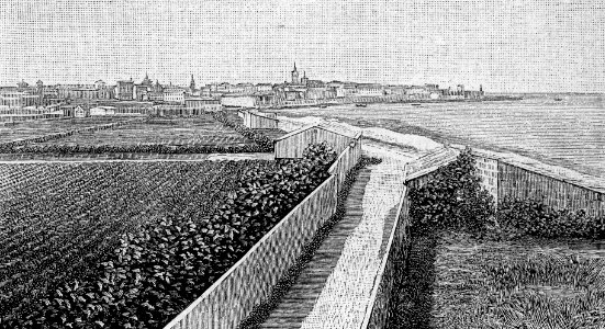 Alghero – Veduta dal mare (xilografia)