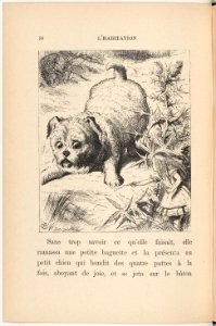 Alice au pays des merveilles p56