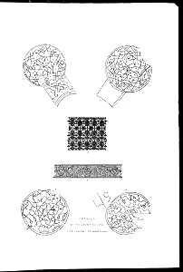 Alhambra 1,40