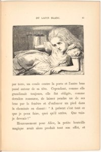Alice au pays des merveilles p45