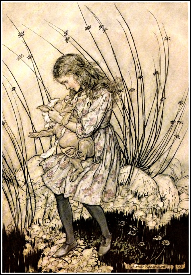 Alice in Wonderland by Arthur Rackham - 07 - It grunted again so violently that she looked down into its face in some alarm
