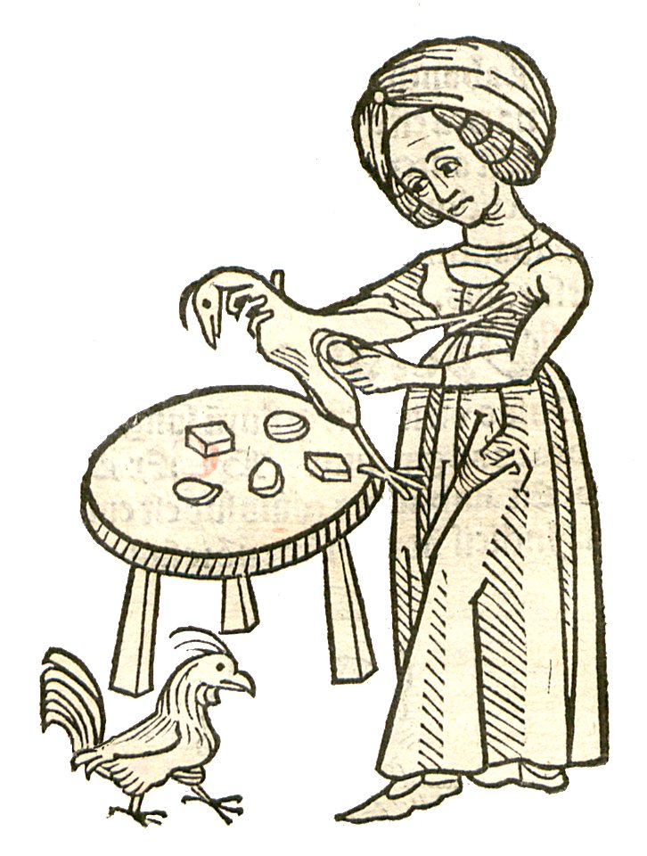 Allectorius1