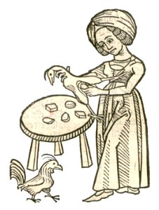 Allectorius1