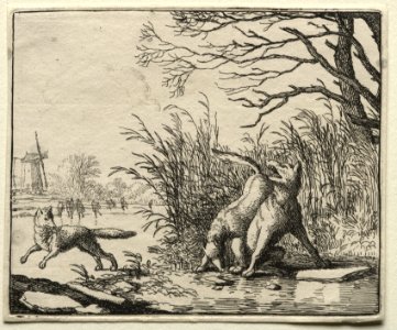Allart van Everdingen (Dutch, 1621-1675) - Reynard the Fox, A New Accusation by the Wolf - 1982.179.53 - Cleveland Museum of Art