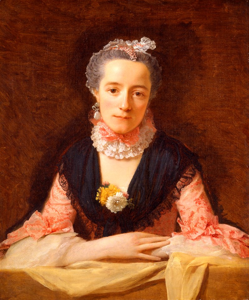 Allan Ramsay - Lady in a Pink Silk Dress - Google Art Project
