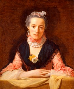 Allan Ramsay - Lady in a Pink Silk Dress - Google Art Project. Free illustration for personal and commercial use.