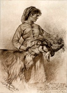 Allers-IschiaAngiolina