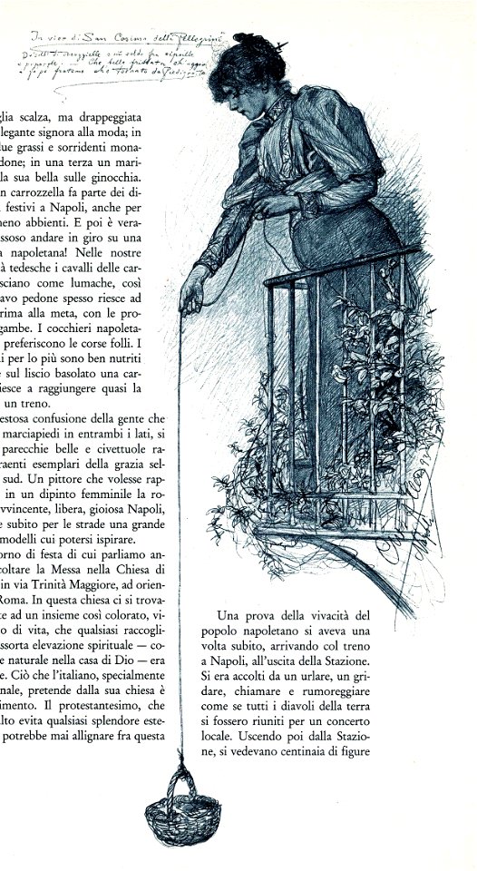 Allers-NapoliCanestro