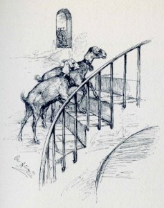 Allers-NapoliCapreScale